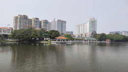 福布斯发布2022中国内地富豪榜，钟睒睒位居榜首